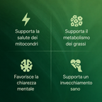 Capsule di Amla Superfruit