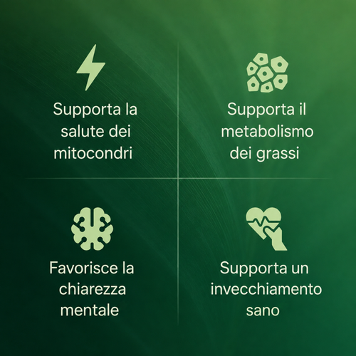 Capsule di Amla Superfruit